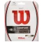 Wilson NXT - naciąg tenisowy