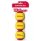 Wilson Starter Red Stage 3 3 Pack - piłki treningowe