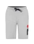 Fila Sweatshort Robert Light Grey - spodenki tenisowe