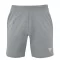 Tecnifibre Team Short Silver - spodenki tenisowe