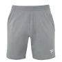 Tecnifibre Team Short Silver - spodenki tenisowe