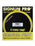 Signum Pro Triton - naciąg tenisowy