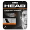 Head Perfect Power Squash Black - naciąg do squasha