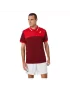 Asics Men Court Polo Shirt Beet Juice Classic Red - męska koszulka tenisowa