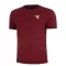 Diadora SS T-Shirt Icon Stratouno Maroon Banner - koszulka tenisowa