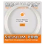Signum Pro Plasma Hextreme Pure - naciąg tenisowy