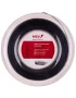 MSV Focus Hex Plus 25 Czarny 200m - naciąg tenisowy