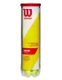 Wilson Championship Extra Duty (4 szt.) - piłki tenisowe