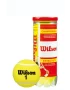 Wilson Championship Extra Duty (3 szt.) - piłki tenisowe