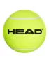 Head Giant Inflatable Ball