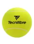 Tecnifibre Big Autograph Ball - piłka na autografy